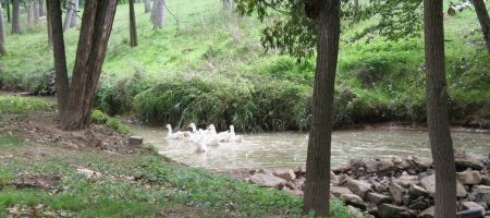 Ruta-Guissona-Vall-del-Riu-Llobregós-ok