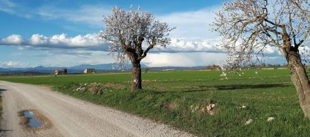 Ruta-dels-Romans-a-Guissona