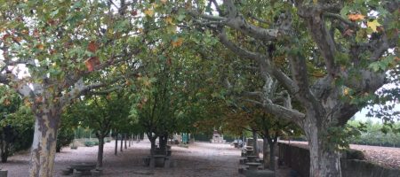 Vista-del-parc-de-la-Font-de-lEstany-1110x833